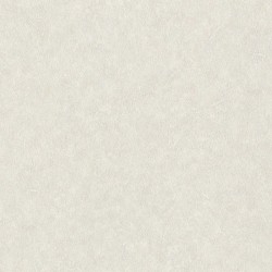 Обои Rasch Factory Style 947656