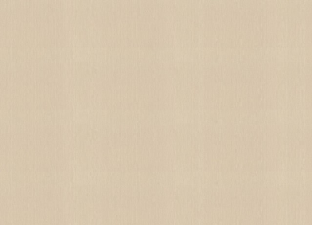 981513 Обои Rasch (Unitex) (1*6) 10,05x1,06 винил на флизелине