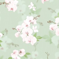 Флористика