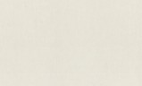 990263 Обои Rasch (Unitex) (1*6) 10,05x1,06 винил на флизелине