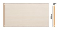 Декоративная панель DECOMASTER F30-13 (298*6*2400мм)