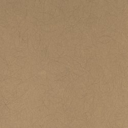 Обои Bernardo Bartalucci Legend 5068-35